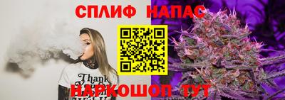 индика Лесосибирск