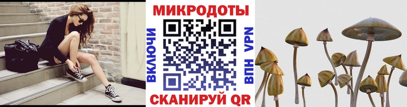 OMG онион  нарко площадка официальный сайт  Псилоцибиновые грибы Psilocybe  Гагарин 