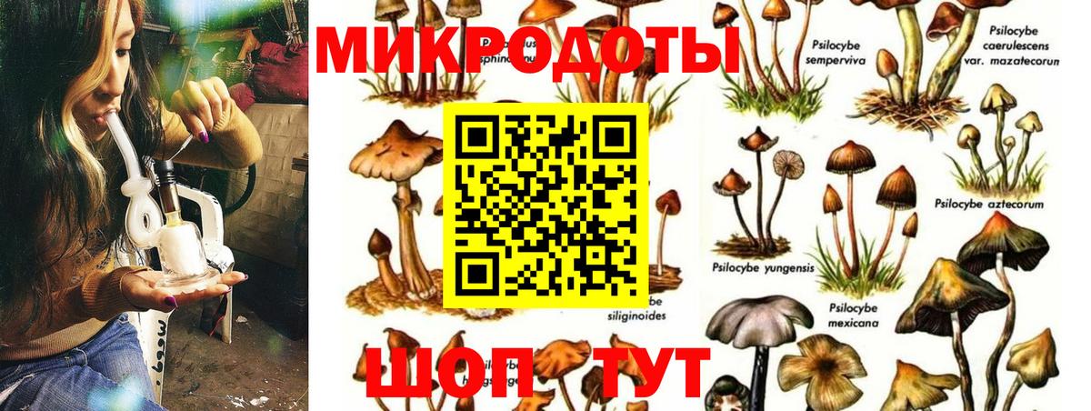 Гагарин  Галлюциногенные грибы мицелий  Вход с VPN 