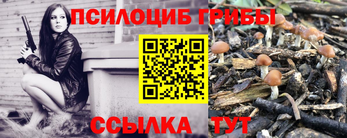 Галлюциногенные грибы прущие грибы Гагарин